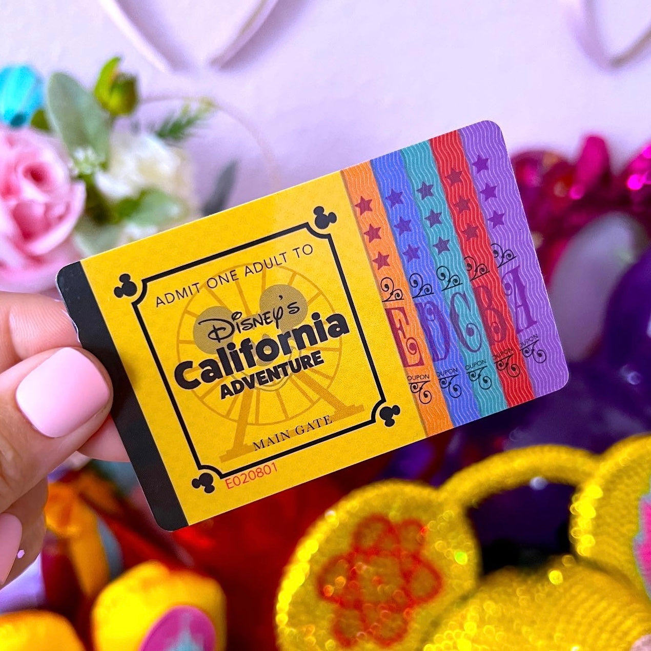 PVC Washi Card - DCA TICKET BOOK