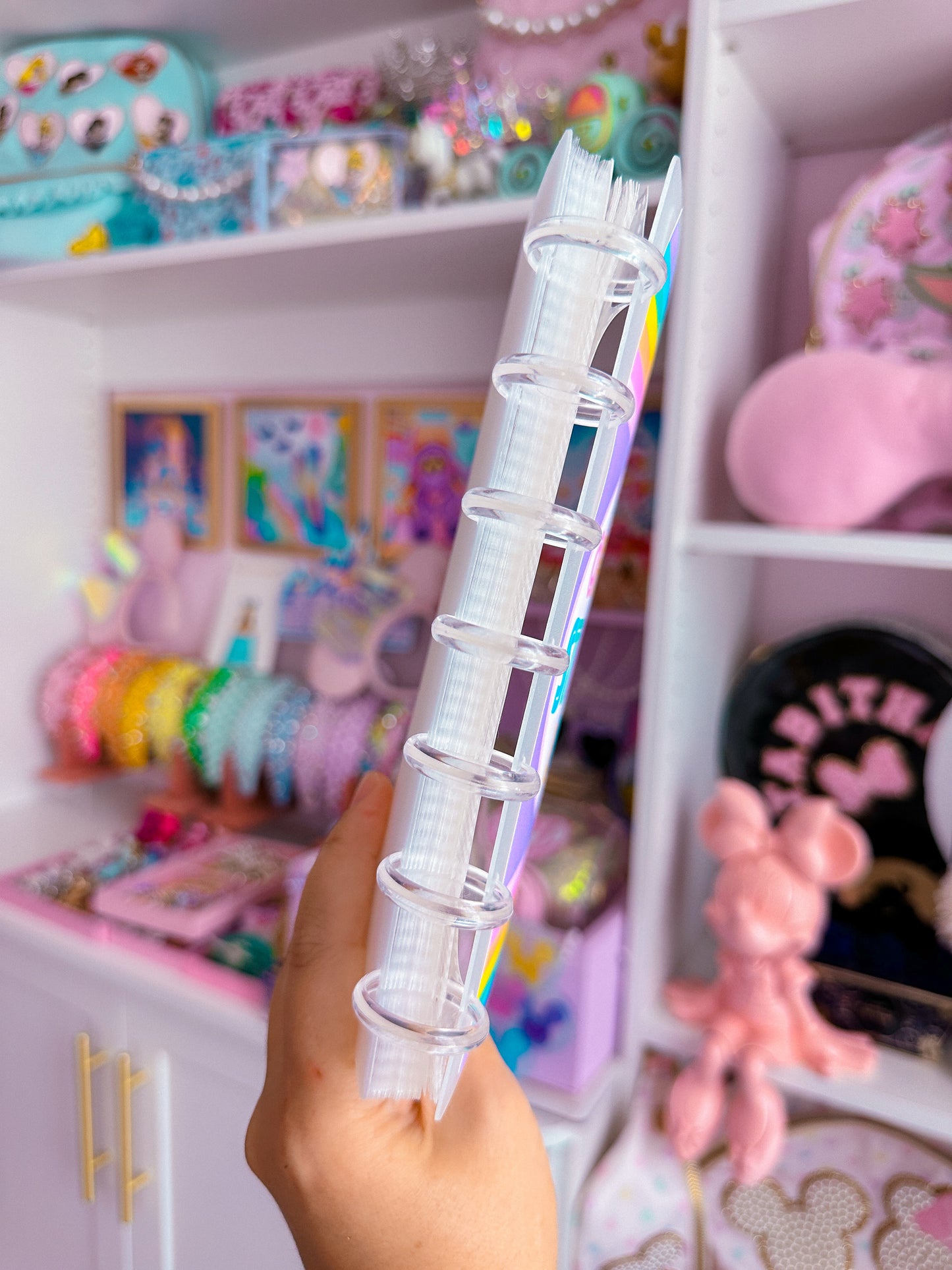 5x7 Disc Storage Album  - Official Sticker Lover