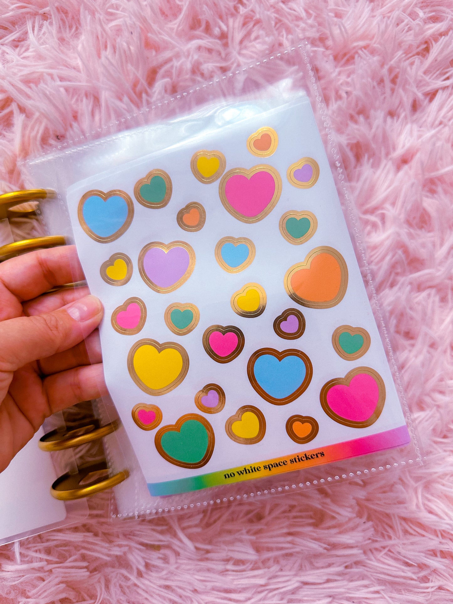 5x7 Disc Storage Album  - Official Sticker Lover